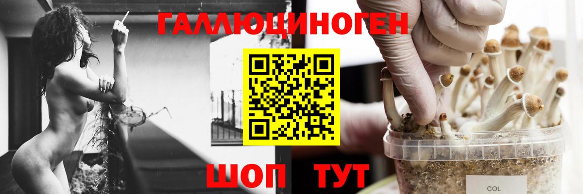 Галлюциногенные грибы Magic Shrooms  Вход с VPN  Галлюциногенные грибы мухоморы  Рассказово 